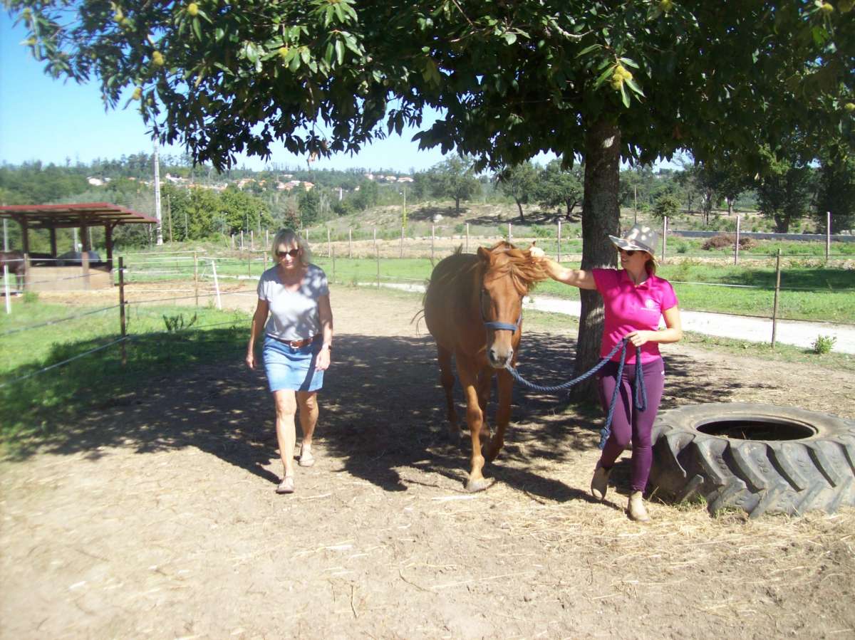 Conny Kadia - Coaching/ Equicoaching Oliveira do Hospital - Oliveira do Hospital - Coaching de Carreira