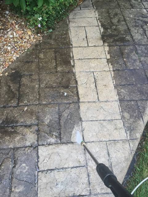 Prestige Home maintenance - Lisboa - Eliminação de Animais e Roedores