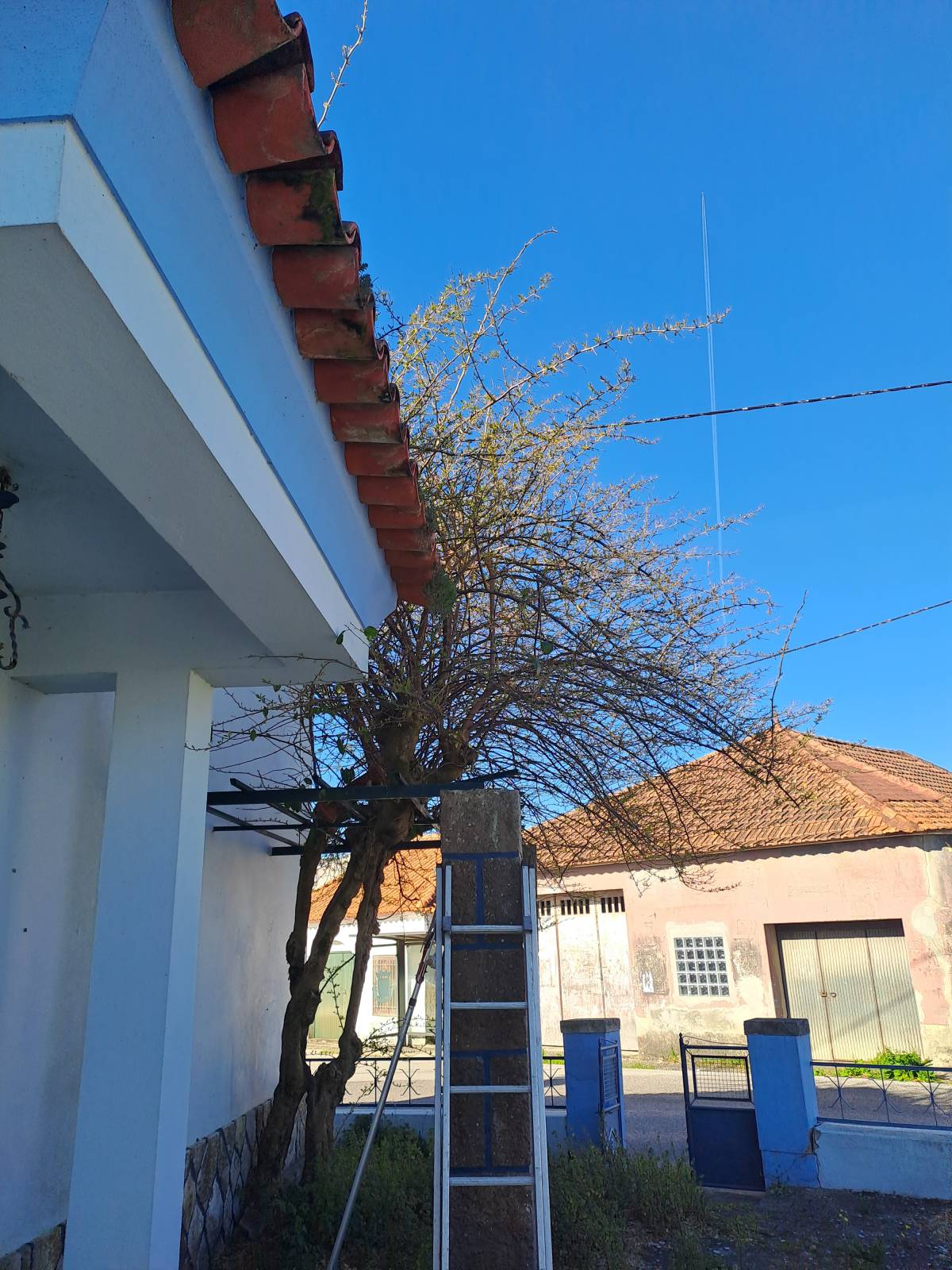 Rv remodelações - Leiria - Paisagismo Exterior