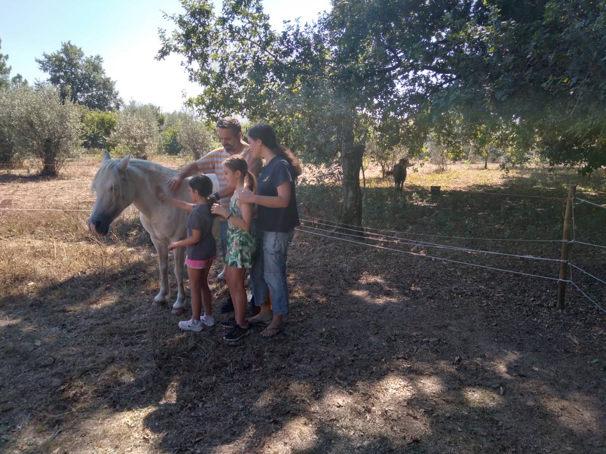 Coaching MCT Equicoaching Conny Kadia Portugal - Oliveira do Hospital - Health and Wellness coaching