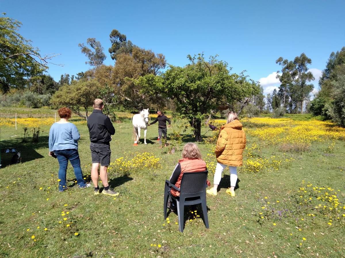 Equicoaching Conny Kadia MCT Mondequus Portugal - Oliveira do Hospital - Coaching de Carreira