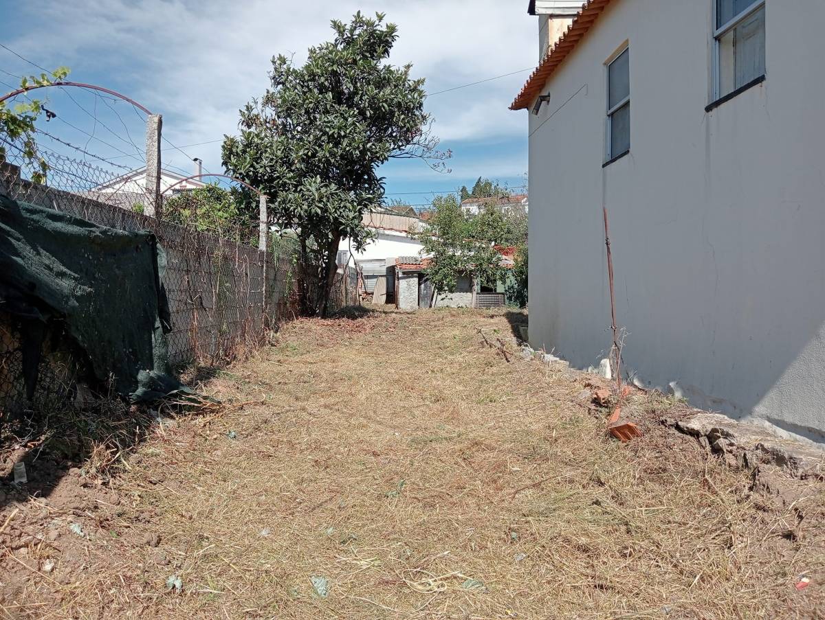 Alexandre Carvalho - Limpeza de Terrenos - Viseu - Limpa-neves (Residencial)