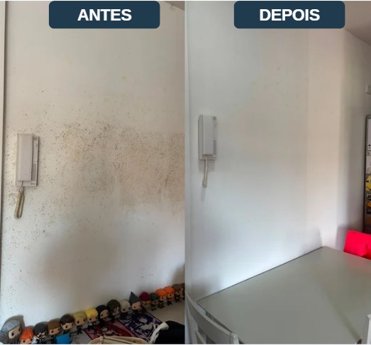 Premi1 - Limpeza & Conservação - Mortágua - Instalação ou Substituição de Telhado