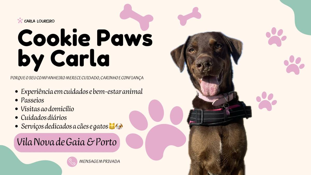 Cookie Paws by Carla - Vila Nova de Gaia - Hundeausführung