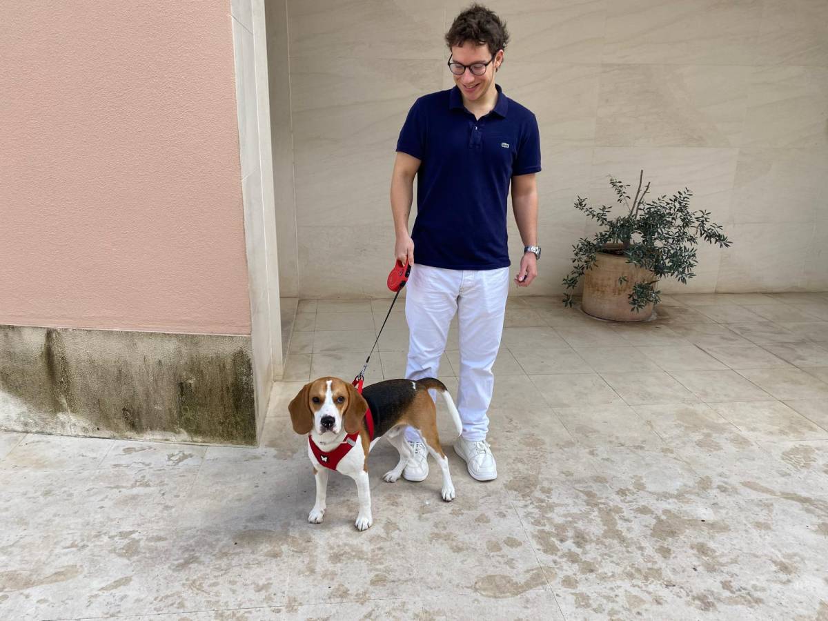 Martim Castro - Lisboa - Dog Sitting