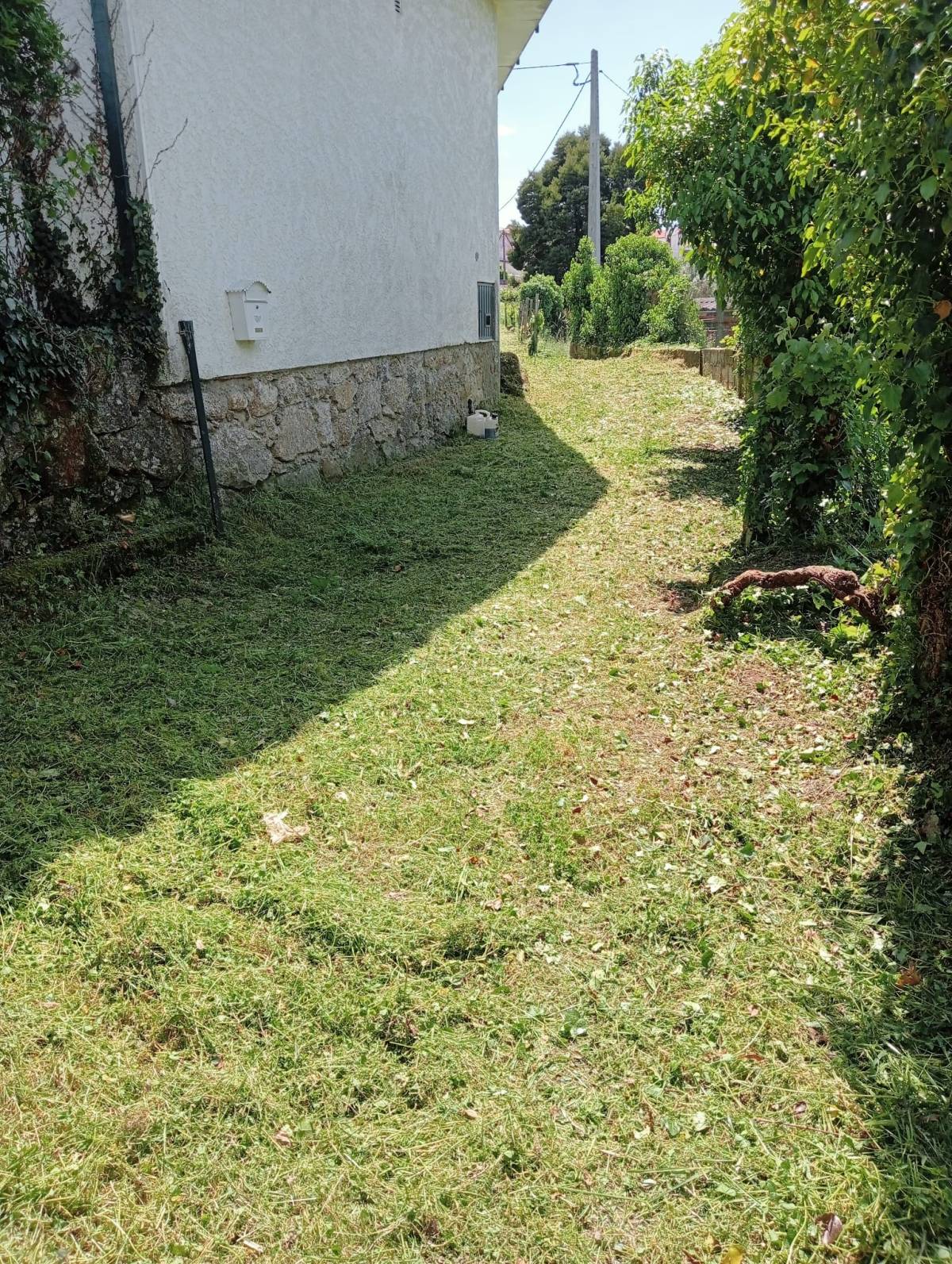 Alexandre Carvalho - Limpeza de Terrenos - Viseu - Tratamento de Relvado