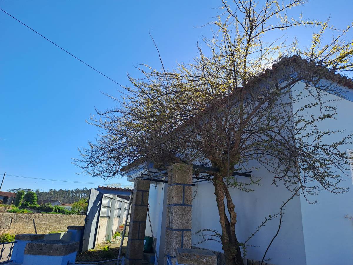 Rv remodelações - Leiria - Remodelação de Cozinhas