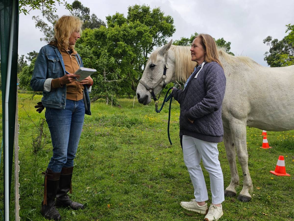 Equicoaching Conny Kadia MCT Mondequus Portugal - Oliveira do Hospital - Coaching Pessoal