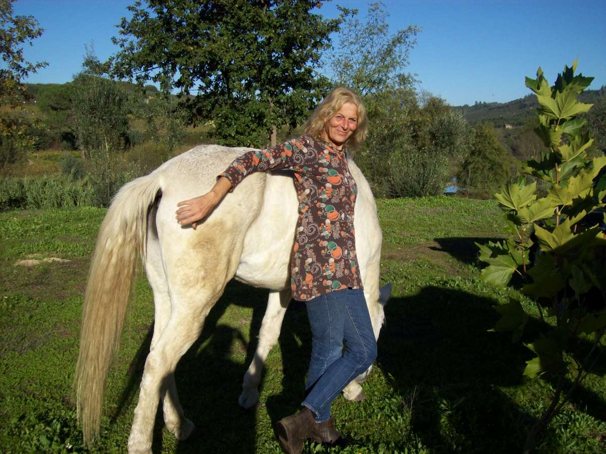 Coaching MCT Equicoaching Conny Kadia Portugal - Oliveira do Hospital - Life Coaching
