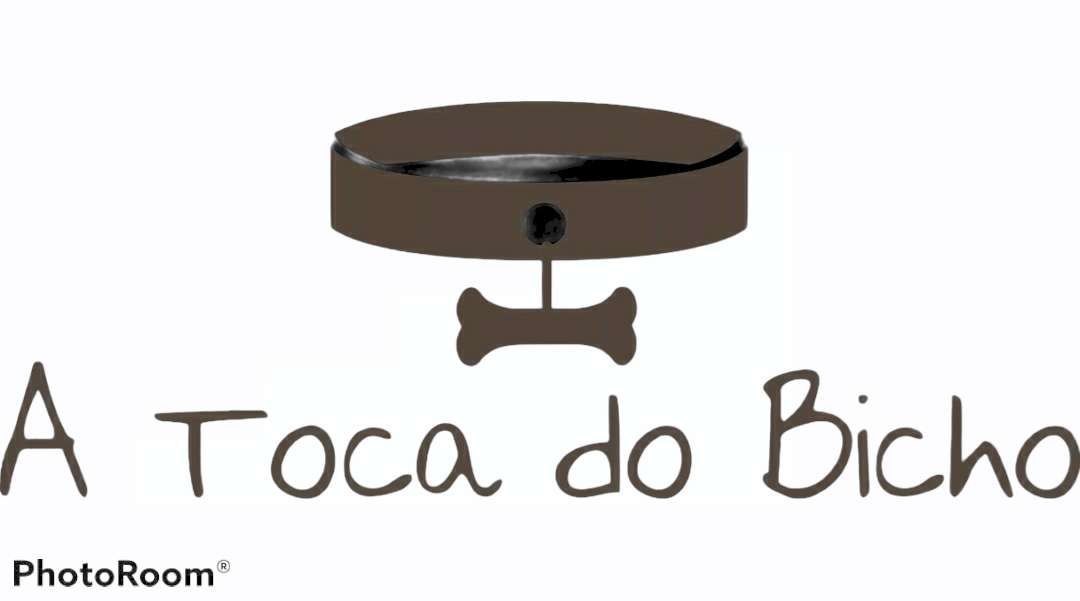 Sara Moura - Sintra - Dog Sitting