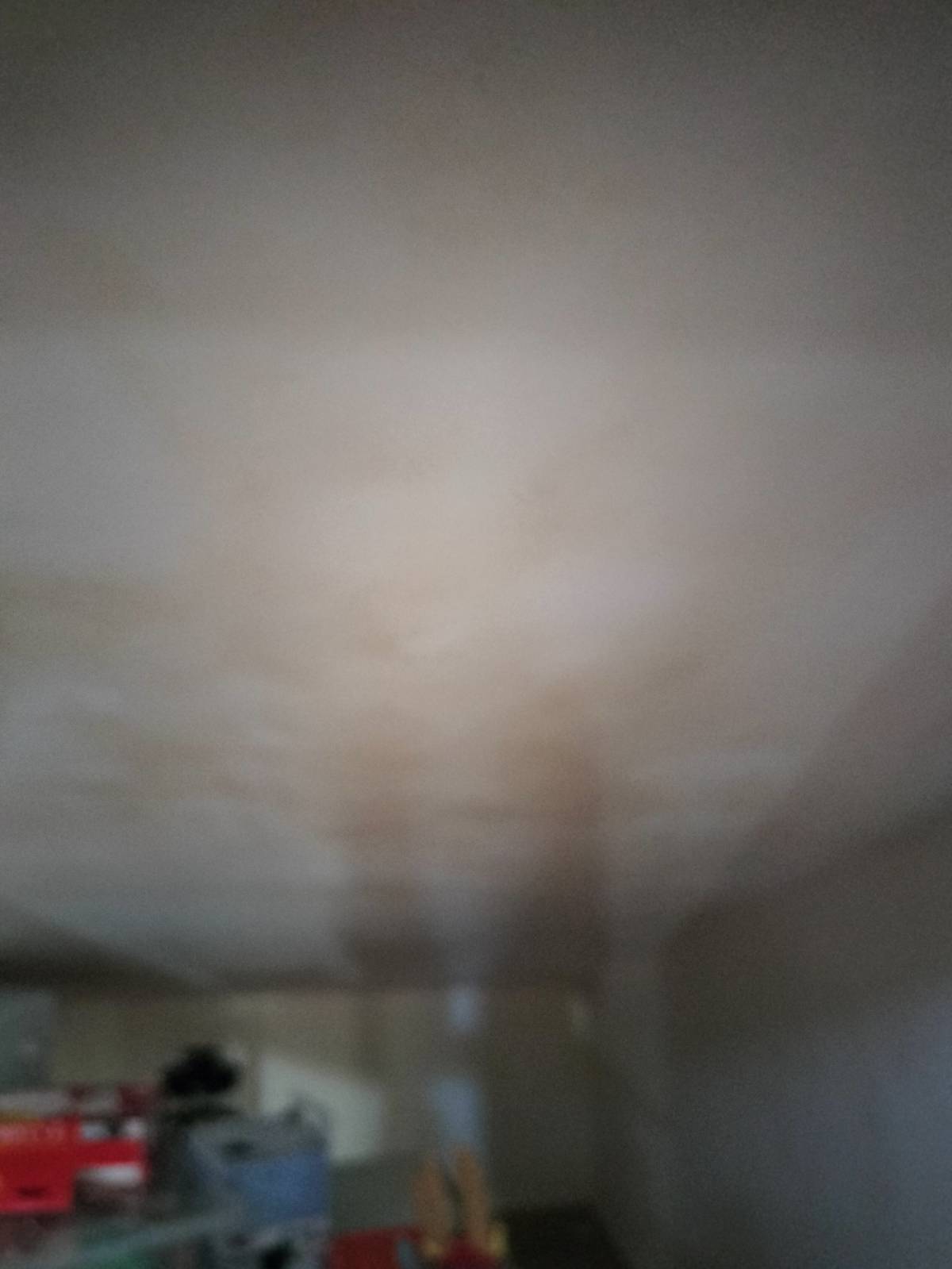 Spécialiste de l