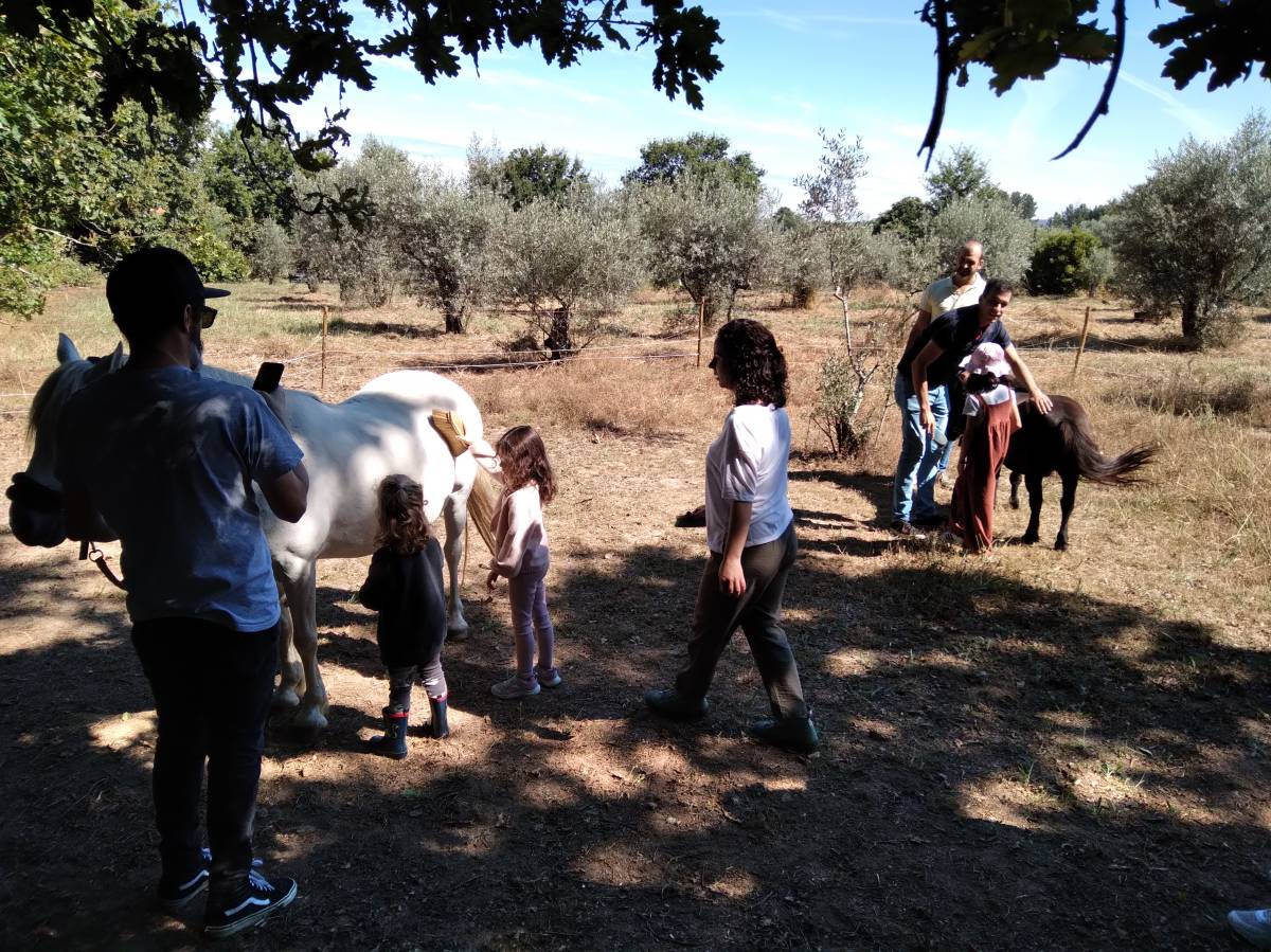 Equicoaching Conny Kadia MCT Mondequus Portugal - Oliveira do Hospital - Coaching Pessoal