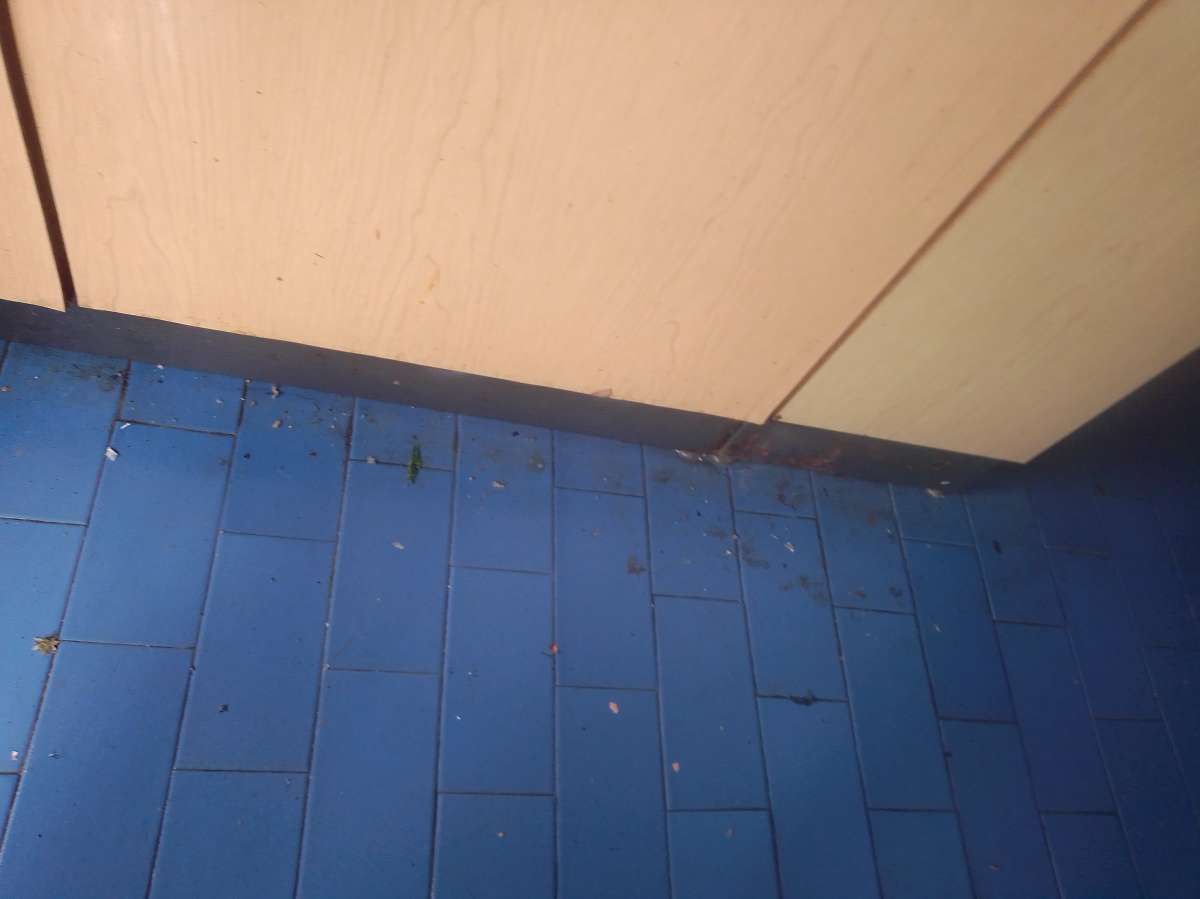 Patricia Marisa da silva - Viseu - Deep or Spring Cleaning