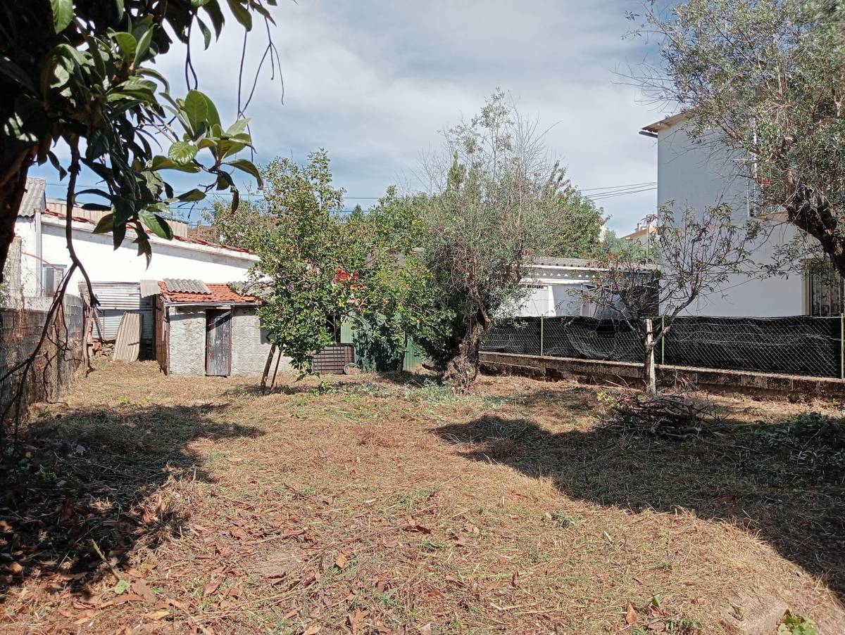 Alexandre Carvalho - Limpeza de Terrenos - Viseu - Remoção de Arbustos