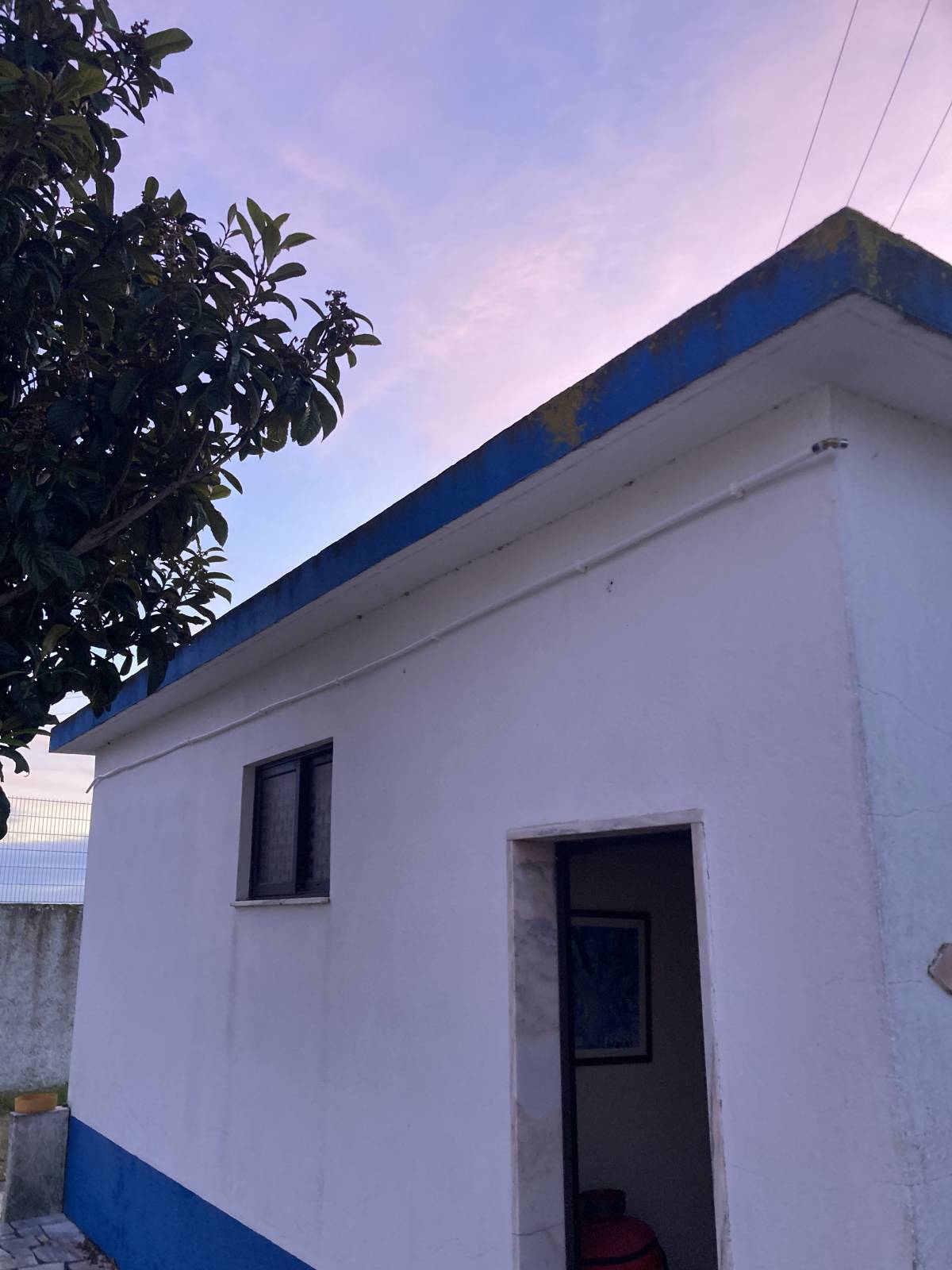 Bert Engenharia e Construção - Montijo - Abgehängte Decke