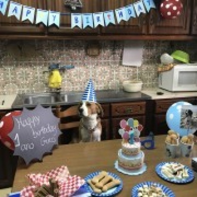 Partyland - Loures - Decorações com Balões