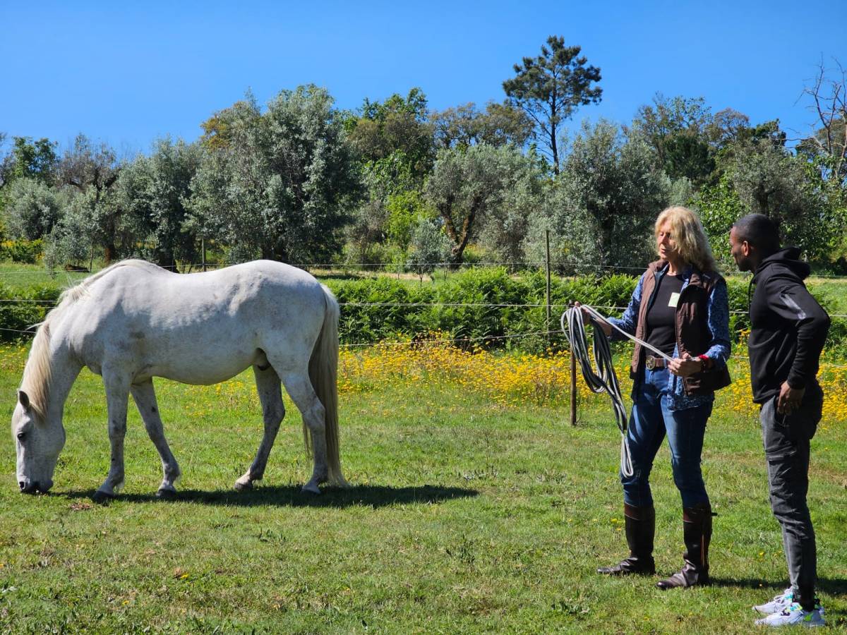 Equicoaching Conny Kadia MCT Mondequus Portugal - Oliveira do Hospital - Coaching de Bem-estar