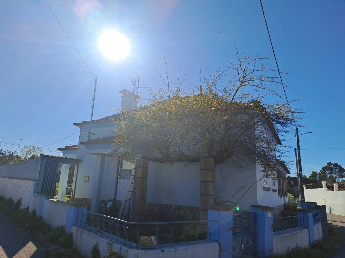 Rv remodelações - Leiria - Nivelação de Terreno - Grande Dimensão (mais de 1 hectar)