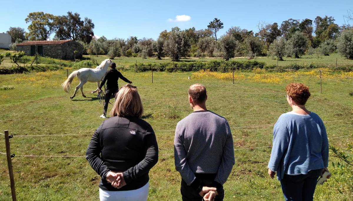 Equicoaching Conny Kadia MCT Mondequus Portugal - Oliveira do Hospital - Coaching de Carreira