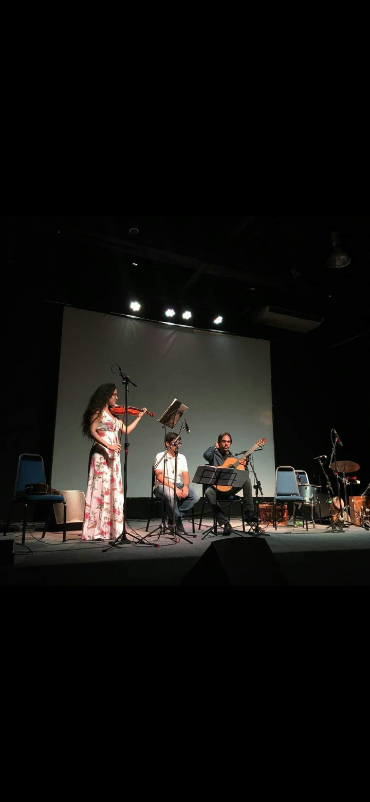 Luana's Violin - Aveiro - Entretenimento com Duo Musical