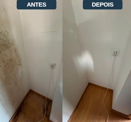 Premi1 - Limpeza & Conservação - Mortágua - Organização da Casa