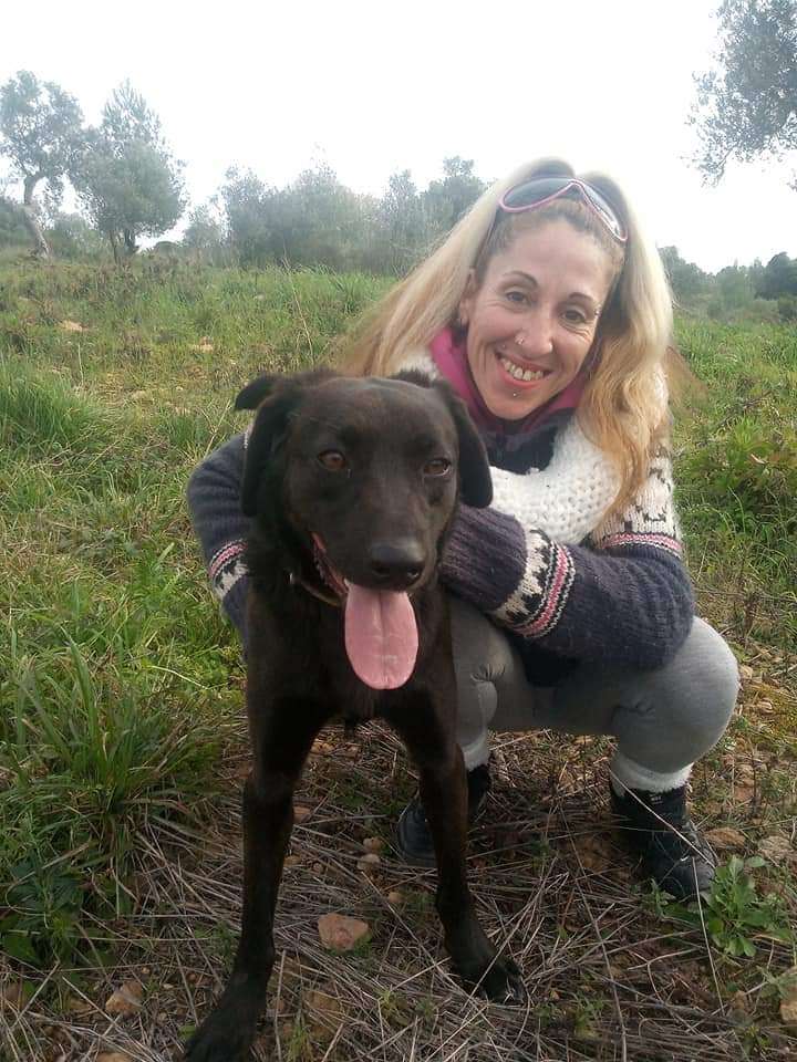 Pet sitting/Dog walking /creche canina Peniche e arredores - Amadora - Banhos e Tosquias para Animais