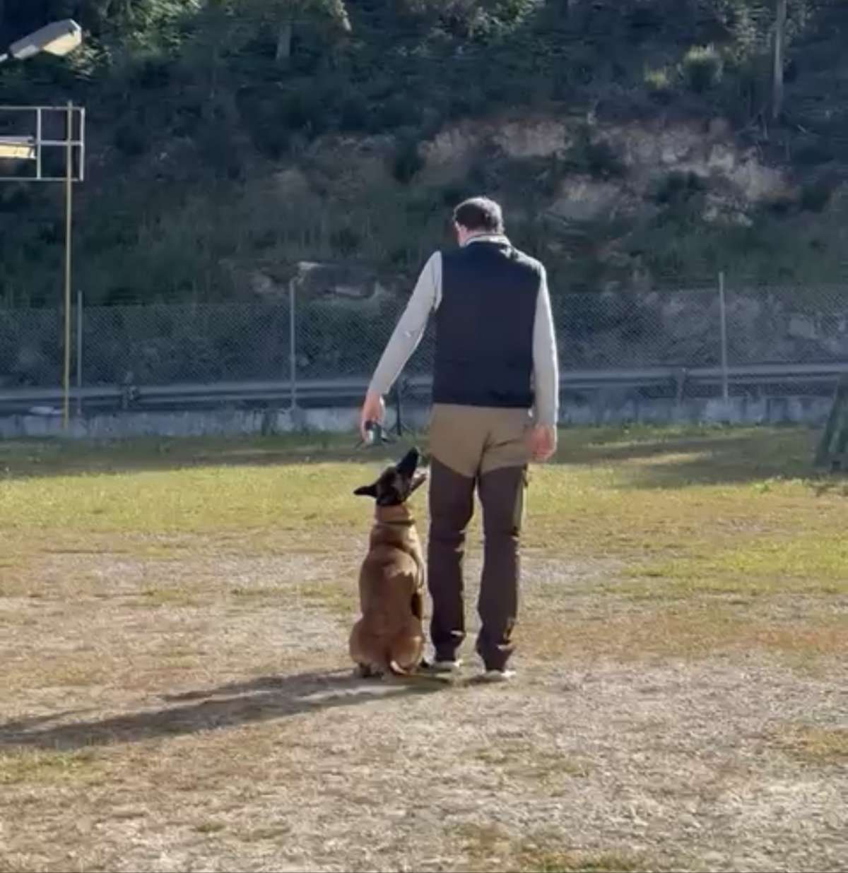 Bruno Rodrigues - Lisboa - Treino de Cães - Aulas