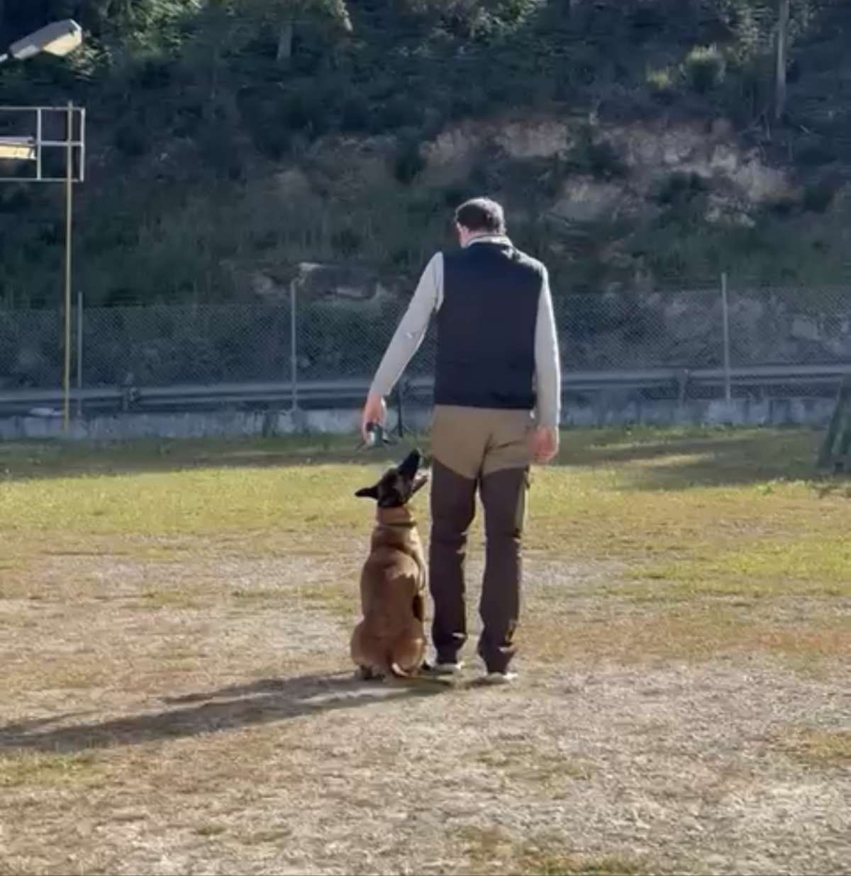 Bruno Rodrigues - Lisboa - Treino Animal e Modificação Comportamental (Não-canino)