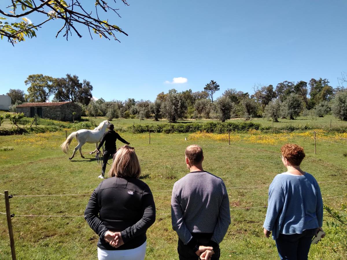 Equicoaching Conny Kadia MCT Mondequus Portugal - Oliveira do Hospital - Coaching