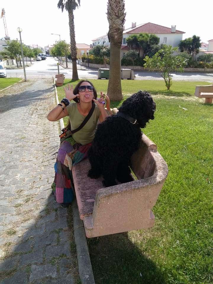 Pet sitting/Dog walking /creche canina Peniche e arredores - Amadora - Cat Sitting
