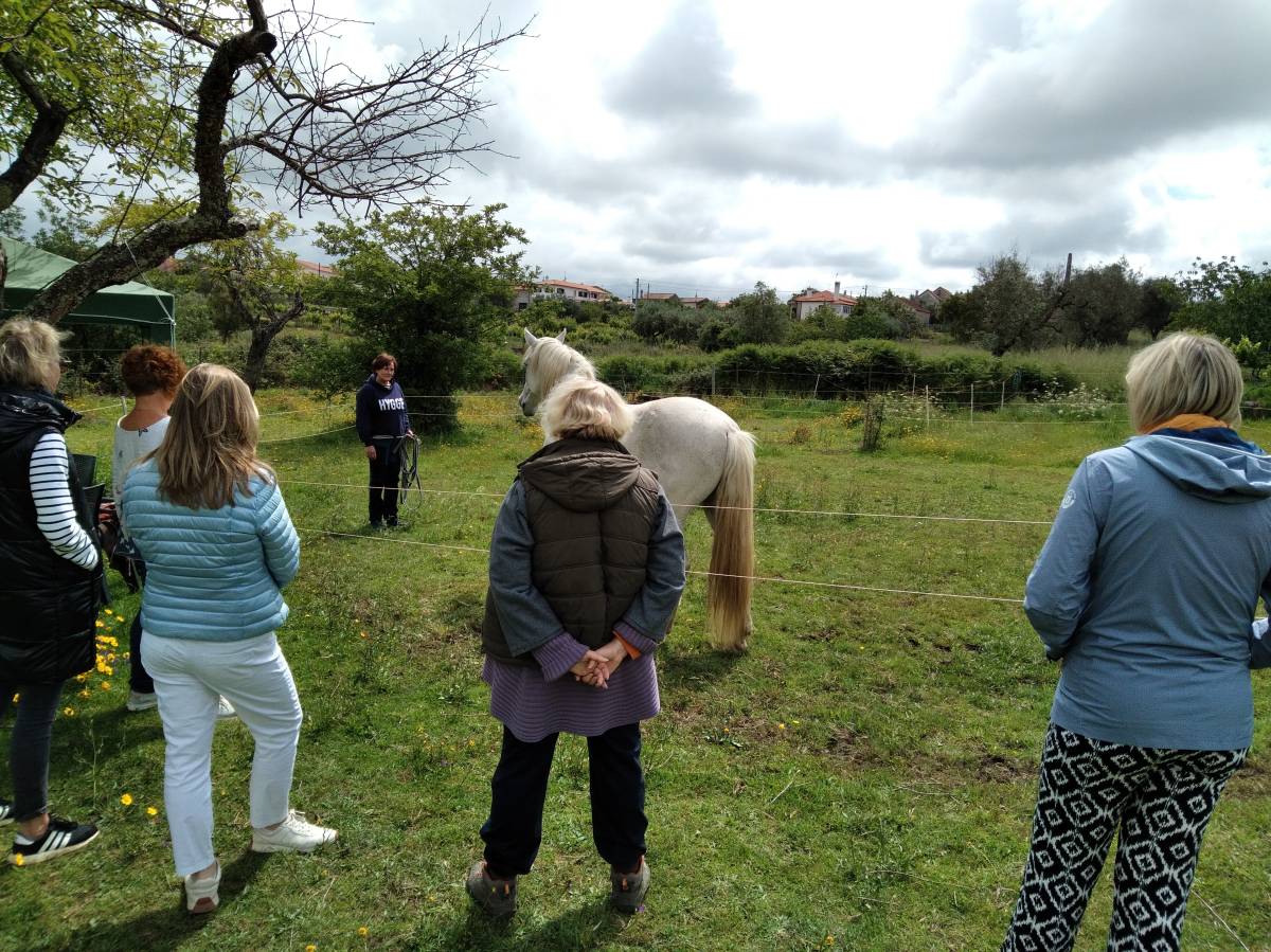 Equicoaching Conny Kadia MCT Mondequus Portugal - Oliveira do Hospital - Coaching Pessoal