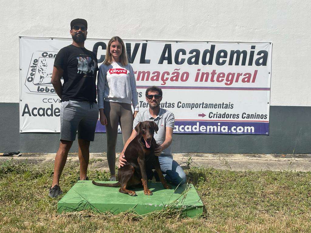 Bruno Rodrigues - Lisboa - Hotel de Animais de Estimação