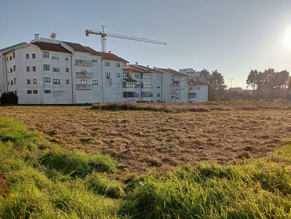 Alexandre Carvalho - Limpeza de Terrenos - Viseu - Tratamento de Relvado