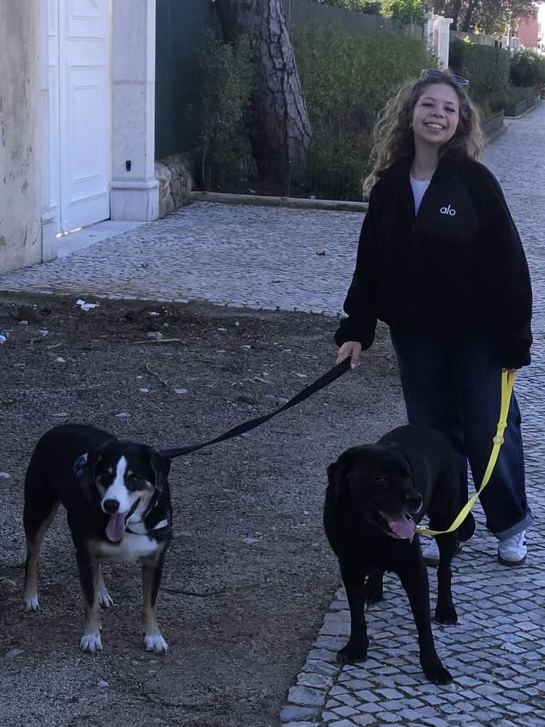 Pet Care em Cascais e arredores - Cascais - Dog Walking
