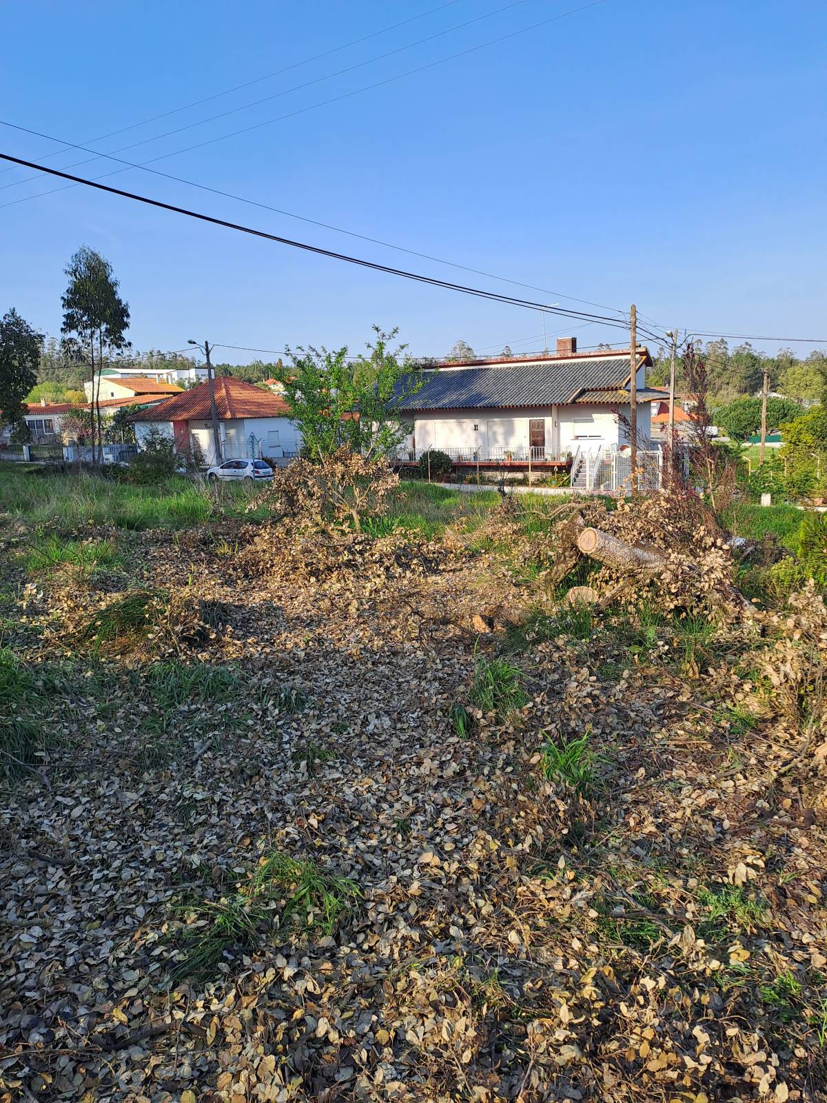 Rv remodelações - Leiria - Instalação de Sistema de Rega Gota a Gota