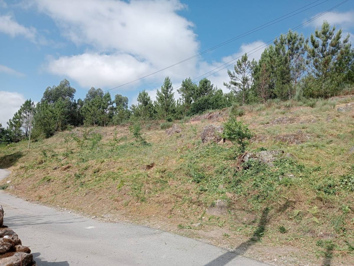 Alexandre Carvalho - Limpeza de Terrenos - Viseu - Jardinagem