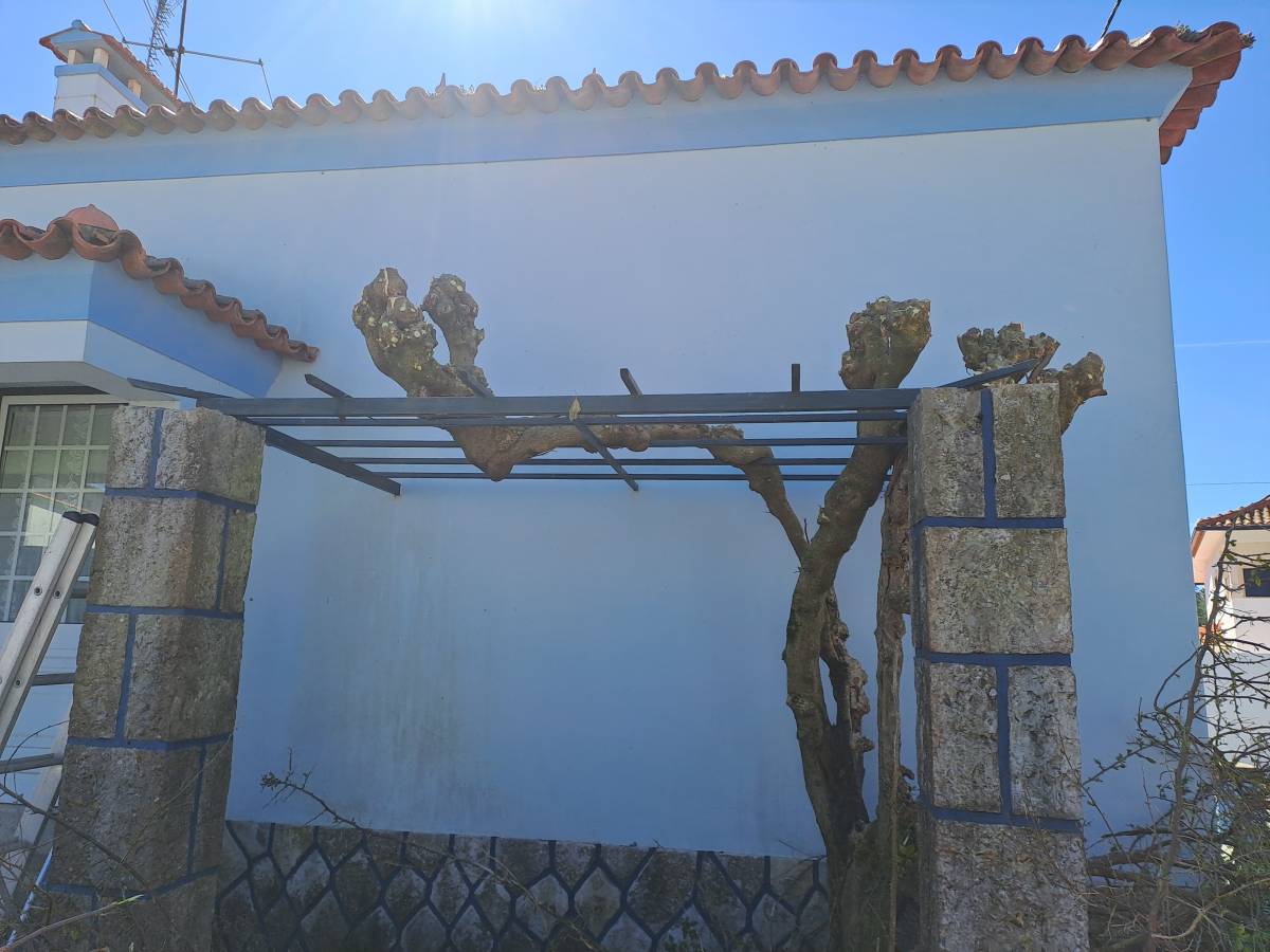 Rv remodelações - Leiria - Revestimento de Cozinha