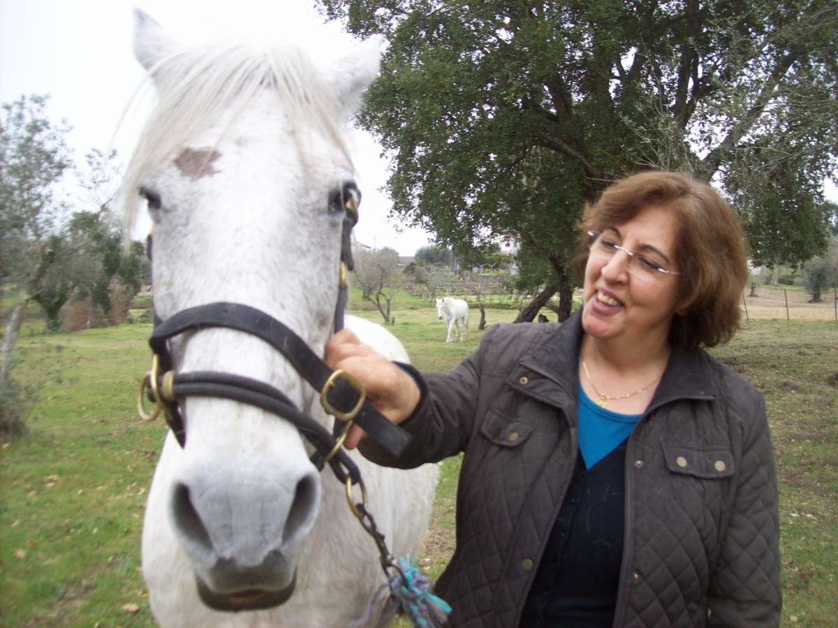 Coaching MCT Equicoaching Conny Kadia Portugal - Oliveira do Hospital - Health and Wellness coaching
