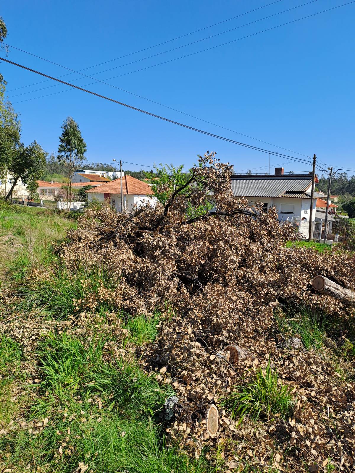 Rv remodelações - Leiria - Remodelação de Quarto
