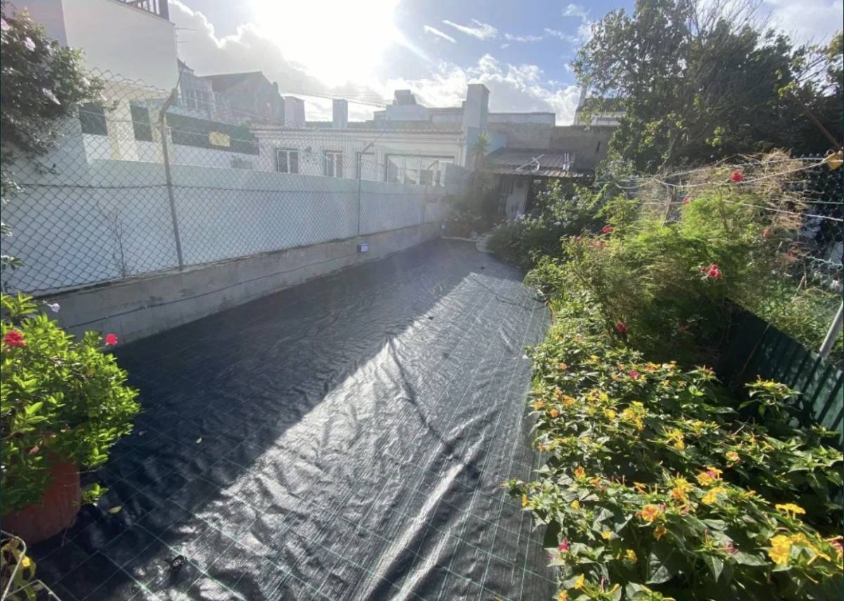 Cm Limpezas Florestais - Espinho - Corte e Aparação de Relvado