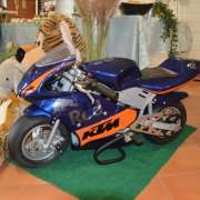 Catarina Guedes - Vila Nova de Gaia - Party Equipment Rentals