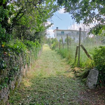 Alexandre Carvalho - Limpeza de Terrenos - Viseu - Remoção de Arbustos