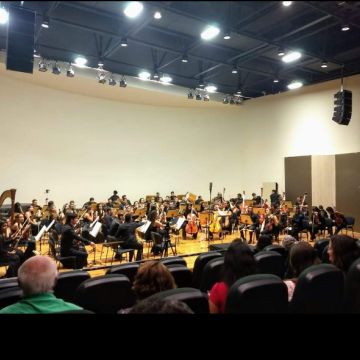 Luana's Violin - Aveiro - Entretenimento com Músico a Solo