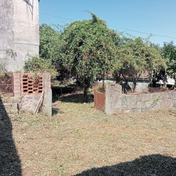 Alexandre Carvalho - Limpeza de Terrenos - Viseu - Poda e Manutenção de Árvores