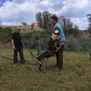 Bruno Rodrigues - Lisboa - Creche para Cães