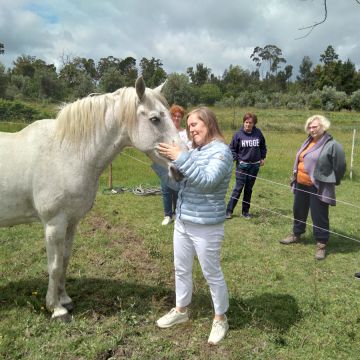 Equicoaching Conny Kadia MCT Mondequus Portugal - Oliveira do Hospital - Coaching de Bem-estar