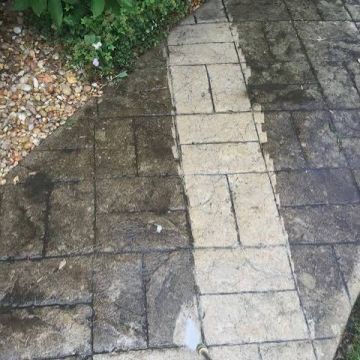 Prestige Home maintenance - Lisboa - Eliminação de Animais e Roedores