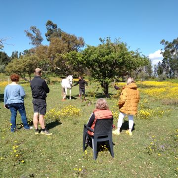 Equicoaching Conny Kadia MCT Mondequus Portugal - Oliveira do Hospital - Coaching de Carreira