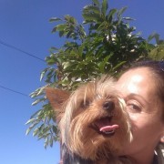 Pet sitting/Dog walking /creche canina Peniche e arredores - Amadora - Hotel de Animais de Estimação