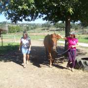 Coaching MCT Equicoaching Conny Kadia Portugal - Oliveira do Hospital - Career Coaching